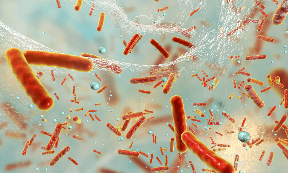 Post antibiotic world 1