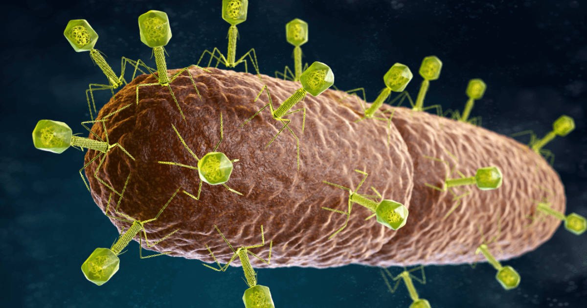 Natures own antibiotic bacteriophage virus featured image for wordpress and facebook